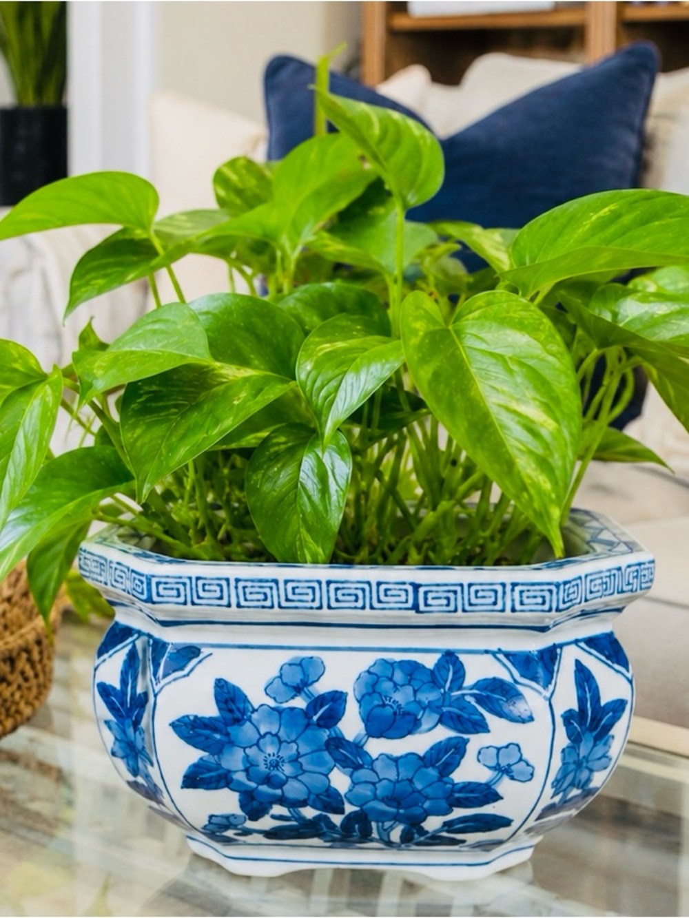 Vintage Blue and White Floral Ceramic Cachepot